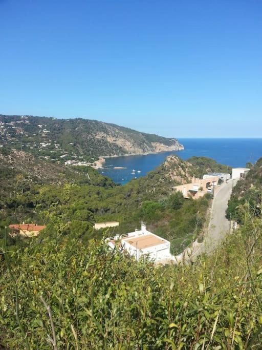 Casa Torre Cruilles Big, Stylish, Modernized 'Castle' Prime Costa Brava With Ac Villa Bagian luar foto